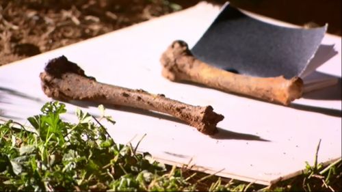 Bones found by Melbourne tradie remain a mystery