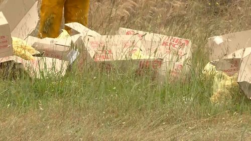 Boxes of the chicken fell from the van.