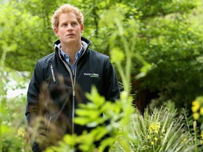 Prince Harry, 2015