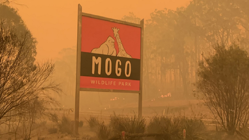 Mogo Wildlife Park sign surrounded by bushfire smoke.