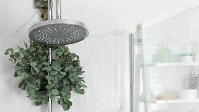 Eucalyptus leaves shower bathroom shower head plant greenery against shower screen