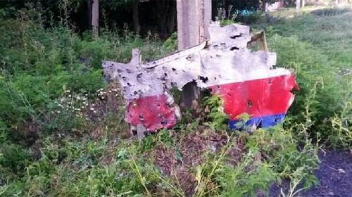 A photo taken by the Financial Times of MH17 debris. 