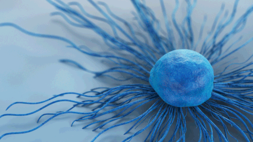 A cervical cancer cell. (Getty)