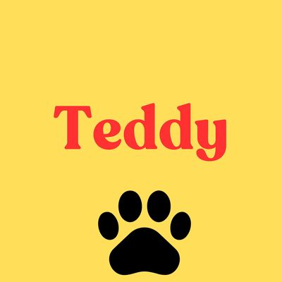 6. Teddy