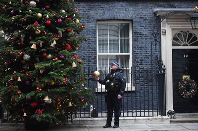 Downing Street Christmas tree, London