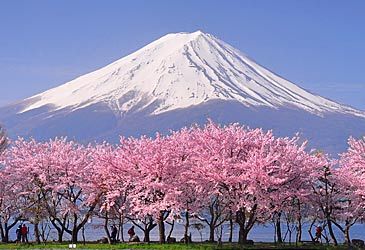 What type of volcano is Mt Fuji?