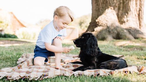 Playful new photographs released to mark Prince George's third birthday