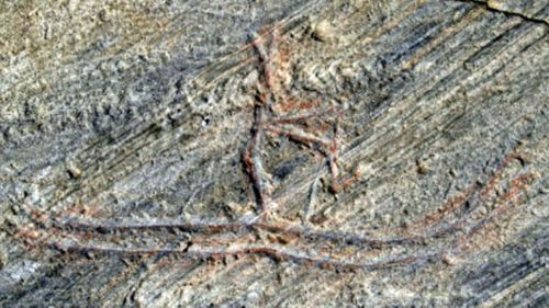 Children destroy 5000-year-old rock carving in misguided restoration bid