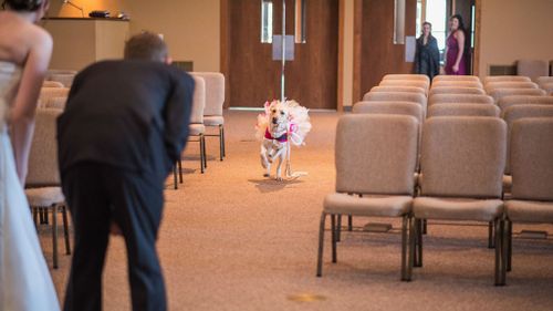 Bella, the service dog in a tutu at her owner's wedding. (Maddie Peschong)