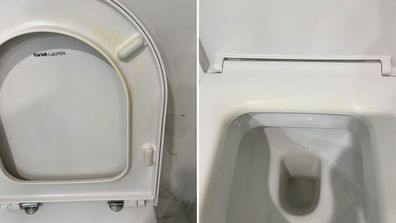 cleaning bleach toilet bathroom