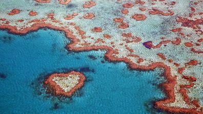 Aerial view of heart-shaped Heart Reef, part of the Great Barrier Reef of the Whitsundays.