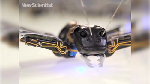 The bionic ants feature a 3D printed carapace and legs and jaws powered by ceramic motors. (New Scientist)