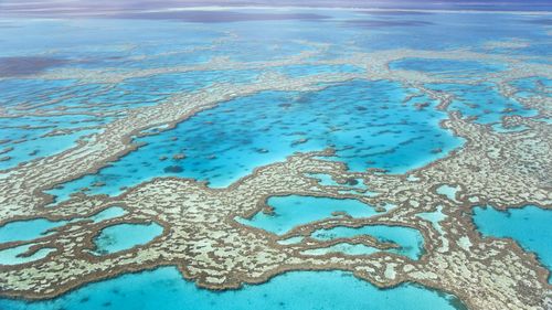 Aerial view of the Great Barrier Reef in Australia.