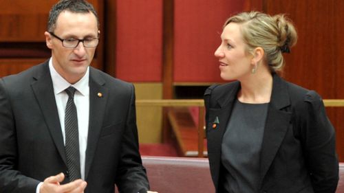 Greens urge for drug addiction to be viewed as a health problem