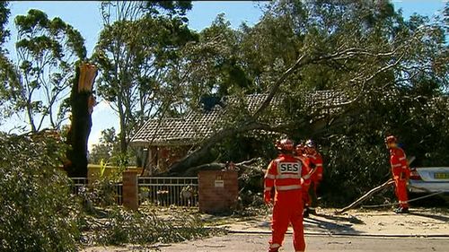 A gum tree has fallen over the roof of a house in Riverwood in the city's southwest. (9NEWS)