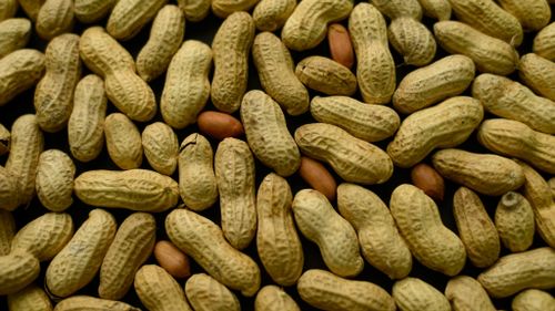 Feed babies at risk of allergies peanuts, say experts