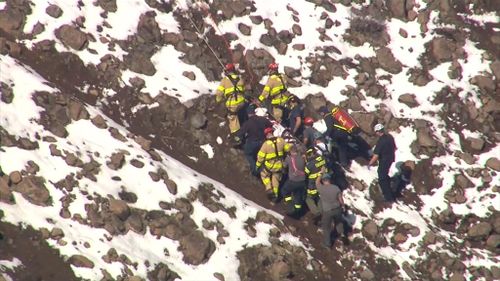 Hydraulic equipment and airbags were used to lift the rock from her leg. (Supplied)