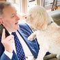 The pets who've kept our prime ministers company in office
