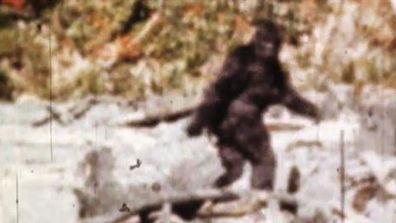 Click through to see some of the most unconvincing, or unconvincing Bigfoot videos.