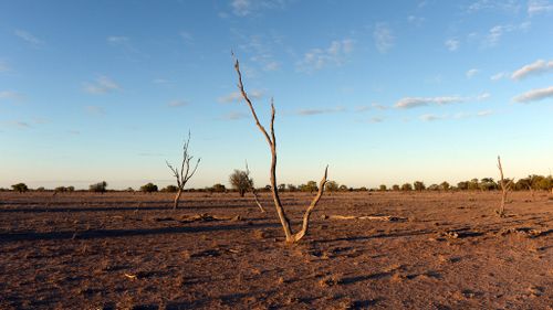 Almost 90 percent of Queensland officially in drought
