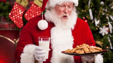 Santa cookies milk Christmas
