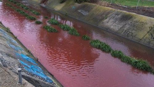 Melbourne waterway runs blood red, EPA works to establish contaminant 
