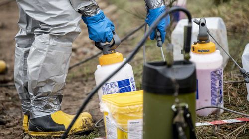 Cleaning chemicals are used to disinfect a mass grave of minks in Denmark.