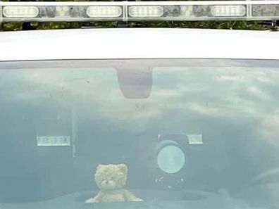 Teddy sitting in the dashboard of the truck