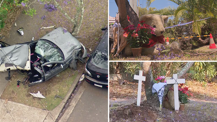 Ashcroft, Sydney: Two boys killed after car hits power pole