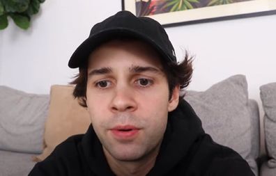 Popular vlogger second apology David Dobik shared