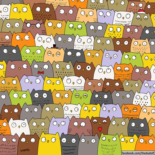 Take a break from looking for the panda, and see if you can find the cat hiding amongst the owls. (Facebook)