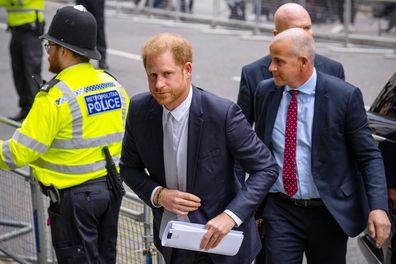 prince harry visa