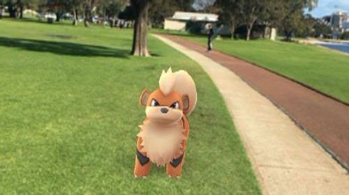 Pokémon catcher rescued from Perth’s Swan River