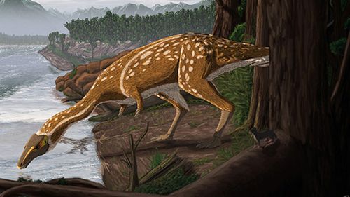 An artist's impression of an elaphrosaur 