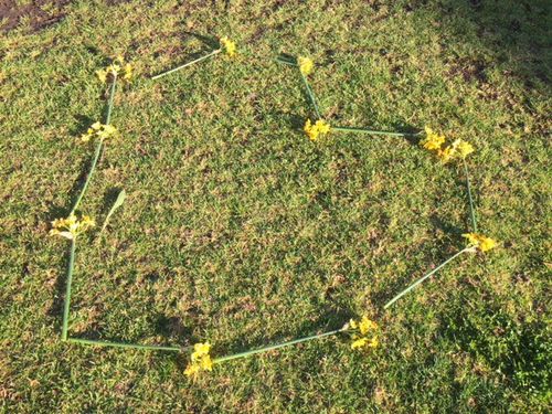 A floral tribute has been laid in Princes Park for the woman who was killed there yesterday. Picture: Lexie Daish/9NEWS