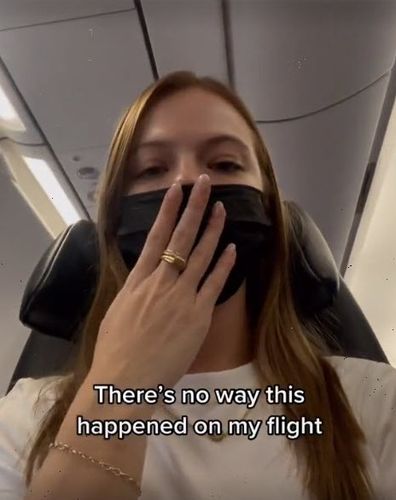woman receives unwelcome messages during flight