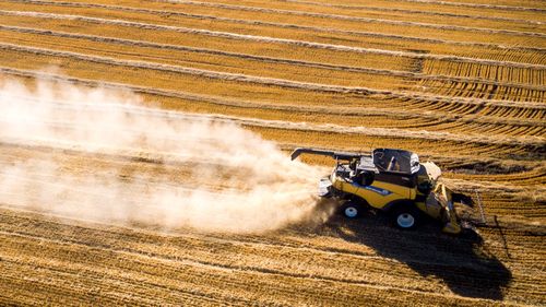 Russian wheat farmers will have their exports cut, because of sanctions.