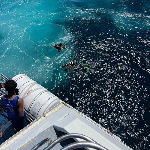 Ferry passenger spots scuba divers in water