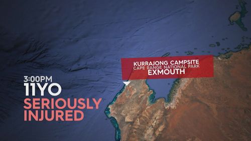 The 11-year-old was rushed to Exmouth hospital ﻿after being attacked by a shark while he was in  the Cape Range National Park at the Kurrajong Campsite this afternoon.