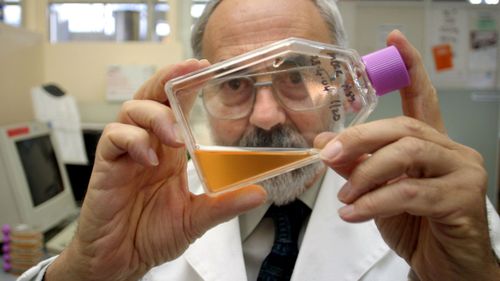 An Australian lab scientist holds a strain of the influenza virus.
