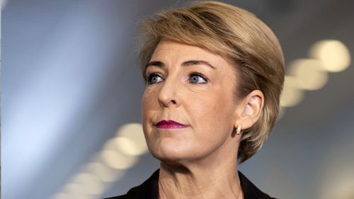 Senator Michaelia Cash has given evidence at the trial of the man who allegedly raped Brittany Higgins.