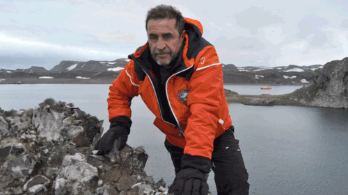 Navy captain dies after falling overboard in Antarctica