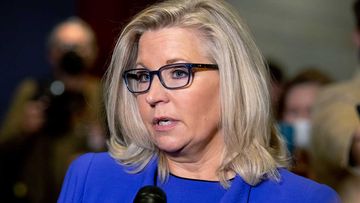 Liz Cheney was voted out by her colleagues for opposing Donald Trump.