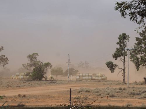 Di Hall's farm is one of those devastated by lack of rain.