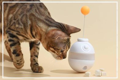 9PR: Michu Interactive Cat Treat Dispenser Tumbler Toy