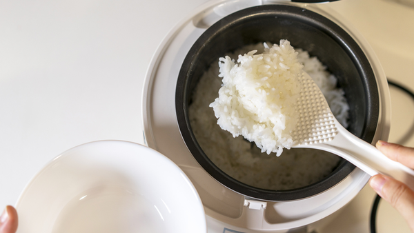 Rice cooker / steamer, stock image