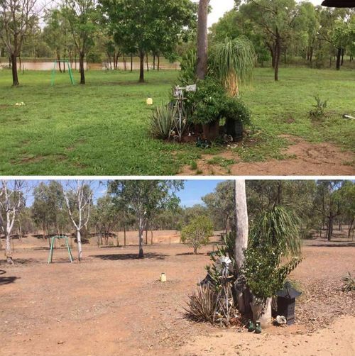 A Charters Towers local reveals the change rain has brought to her yard. (Facebook/Melanie Fernie)