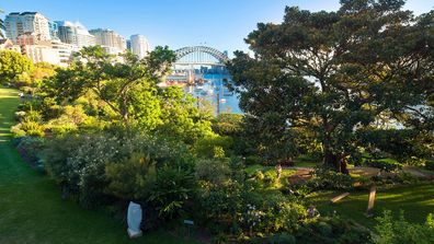 Wendy Whiteley&#x27;s Secret Garden, Lavender Bay