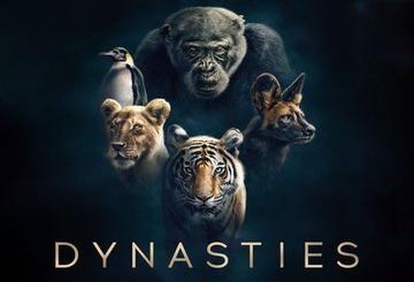 David Attenborough's Dynasties