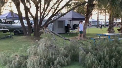 The family had been relaxing at Broadwater Tourist Park when the tree snapped at its base, falling on the picnic-goers and their table.